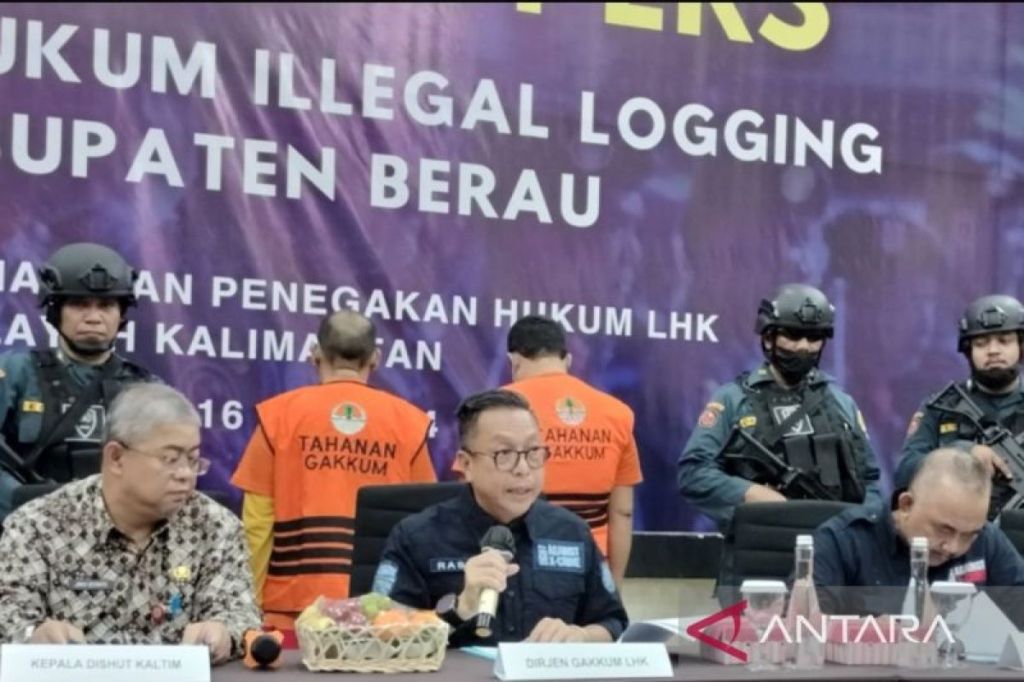 Gakkum KLHK ungkap illegal logging antar Provinsi